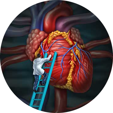 images\Cardiac_Surgery-modified.png